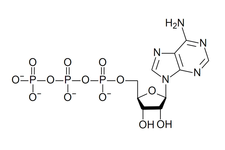 Công thức hoá học của Adenosin 1