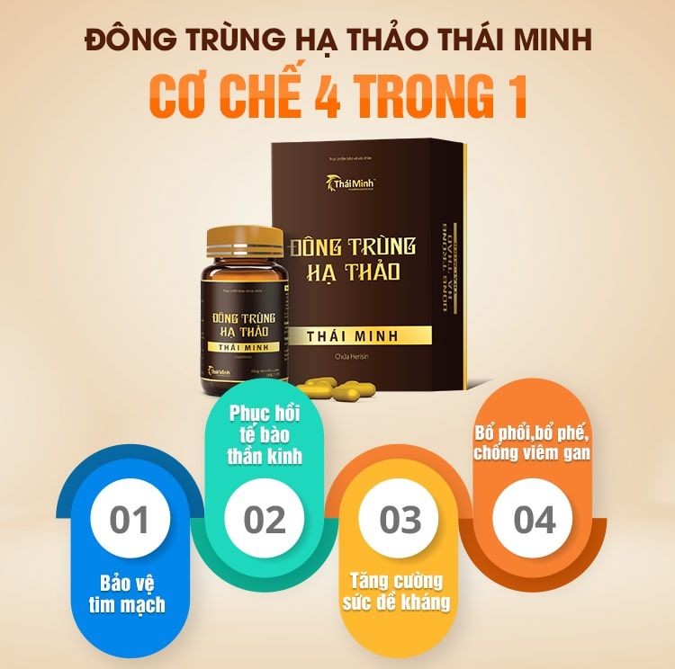 Đông trùng hạ thảo Thái Minh – món quà cho sức khỏe 1