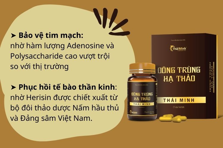 Giá bán Đông trùng hạ thảo Thái Minh bao nhiêu tiền